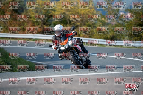 Passo della Futa E 11-10-25 h15-47 2194