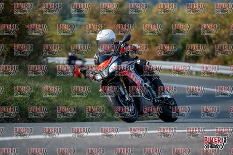 Passo della Futa E 11-10-25 h15-47 2197