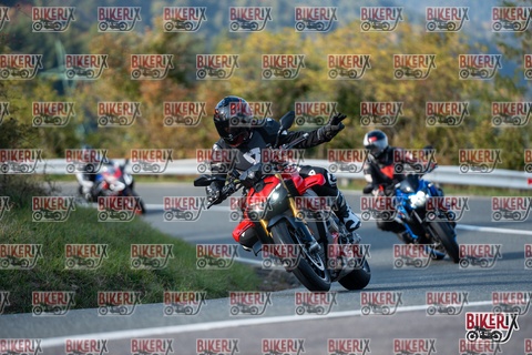 Passo della Futa E 11-10-25 h15-47 2199