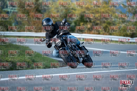 Passo della Futa E 11-10-25 h15-48 2218