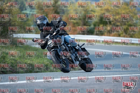 Passo della Futa E 11-10-25 h15-48 2219