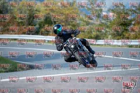 Passo della Futa E 11-10-25 h15-48 2223