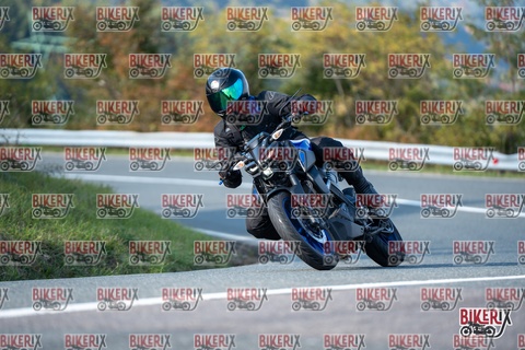 Passo della Futa E 11-10-25 h15-48 2225