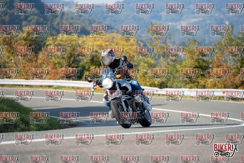 Passo della Futa E 11-10-25 h15-50 2239