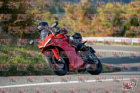 Passo della Futa E 11-10-25 h15-51 2246