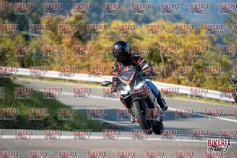 Passo della Futa E 11-10-25 h15-51 2248