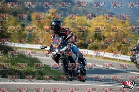 Passo della Futa E 11-10-25 h15-51 2249