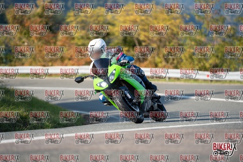 Passo della Futa E 11-10-25 h15-53 2252