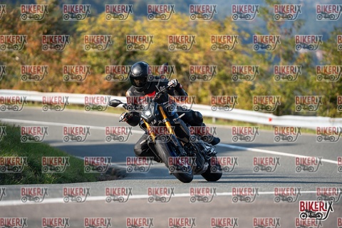 Passo della Futa E 11-10-25 h15-54 2262