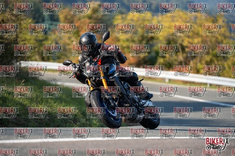 Passo della Futa E 11-10-25 h15-54 2264