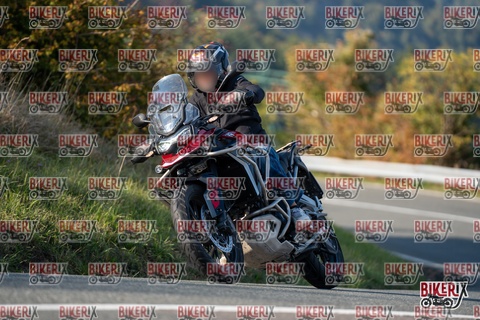 Passo della Futa E 11-10-25 h15-54 2269