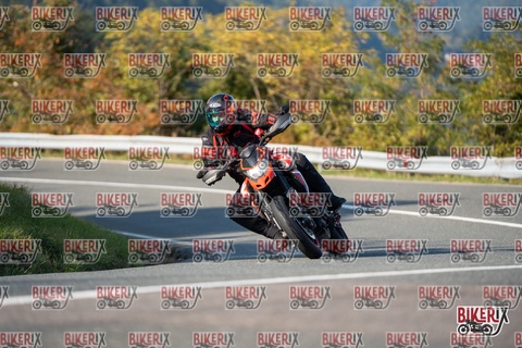 Passo della Futa E 11-10-25 h15-55 2271