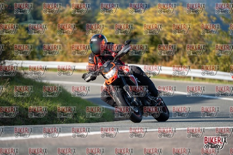 Passo della Futa E 11-10-25 h15-55 2273