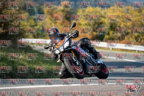 Passo della Futa E 11-10-25 h15-55 2279