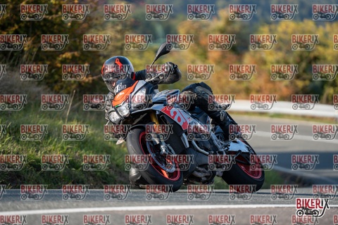 Passo della Futa E 11-10-25 h15-55 2280