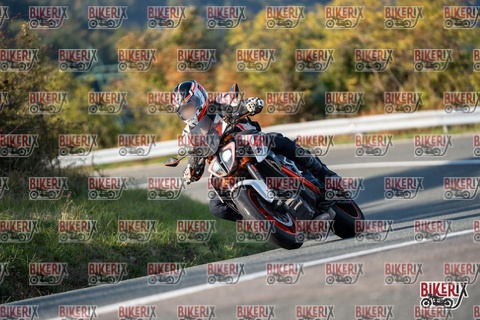 Passo della Futa E 11-10-25 h15-57 2282