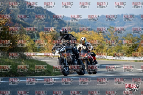 Passo della Futa E 11-10-25 h16-02 2295