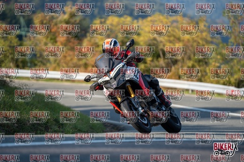 Passo della Futa E 11-10-25 h16-03 2298