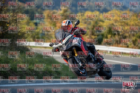 Passo della Futa E 11-10-25 h16-03 2299