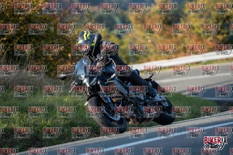 Passo della Futa E 11-10-25 h16-05 2308