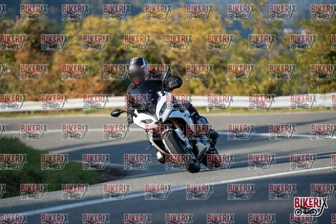 Passo della Futa E 11-10-25 h16-05 2309