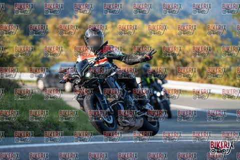 Passo della Futa E 11-10-25 h16-12 2338