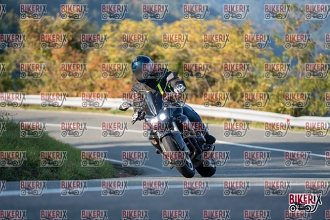 Passo della Futa E 11-10-25 h16-13 2341