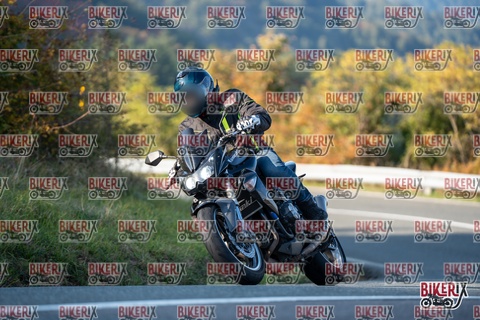 Passo della Futa E 11-10-25 h16-13 2344