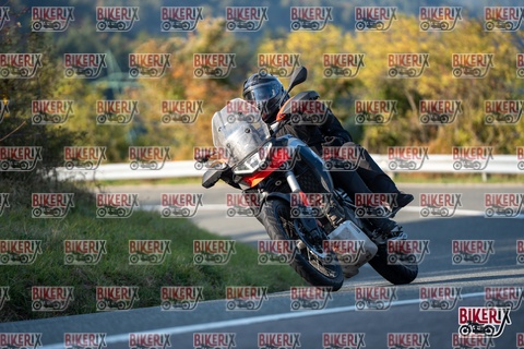 Passo della Futa E 11-10-25 h16-14 2346