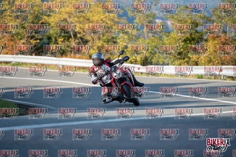 Passo della Futa E 11-10-25 h16-15 2356