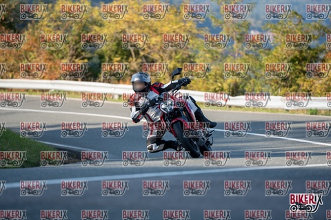 Passo della Futa E 11-10-25 h16-15 2358