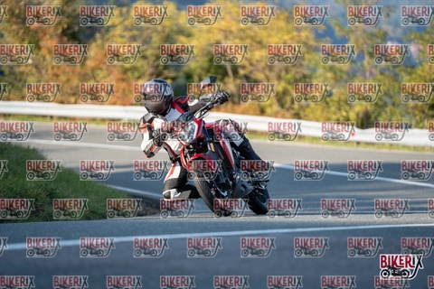 Passo della Futa E 11-10-25 h16-15 2360