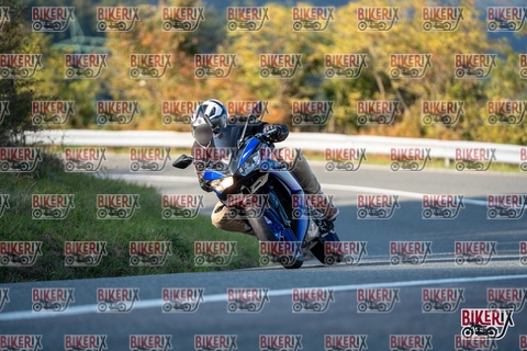 Passo della Futa E 11-10-25 h16-16 2361