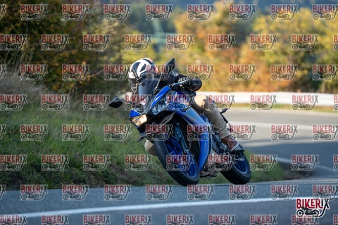 Passo della Futa E 11-10-25 h16-16 2363