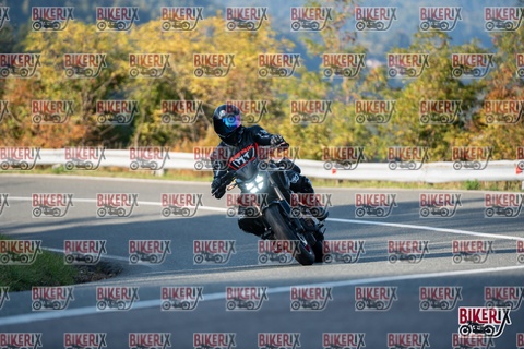 Passo della Futa E 11-10-25 h16-16 2366