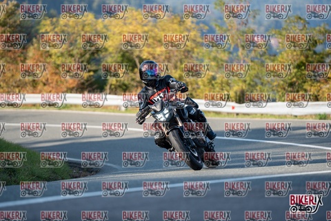 Passo della Futa E 11-10-25 h16-16 2367