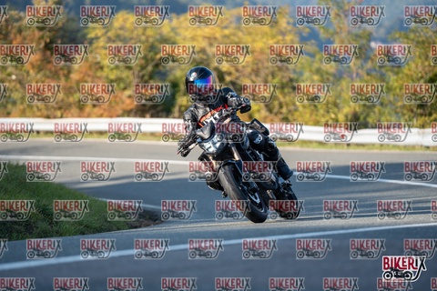 Passo della Futa E 11-10-25 h16-16 2368