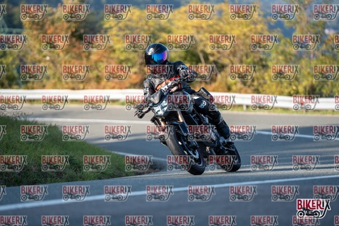 Passo della Futa E 11-10-25 h16-16 2369