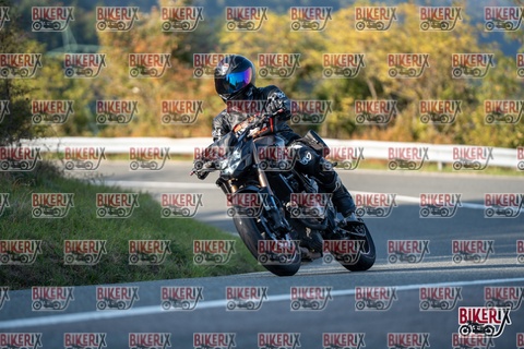 Passo della Futa E 11-10-25 h16-16 2370