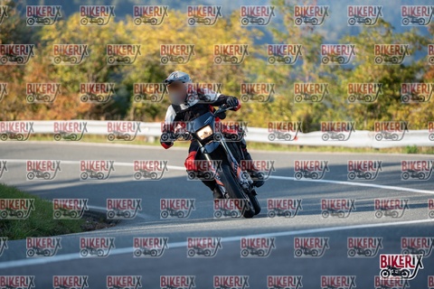 Passo della Futa E 11-10-25 h16-16 2372