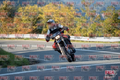 Passo della Futa E 11-10-25 h16-16 2373