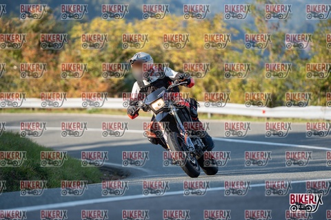 Passo della Futa E 11-10-25 h16-16 2374