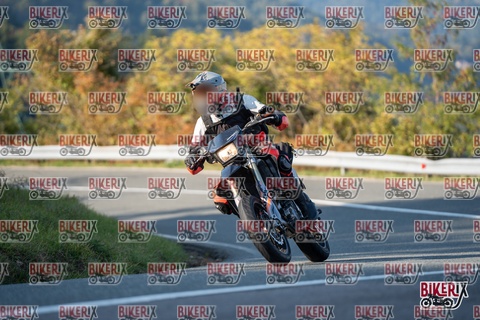 Passo della Futa E 11-10-25 h16-16 2375