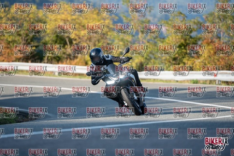 Passo della Futa E 11-10-25 h16-16 2377