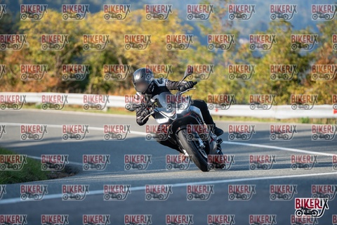 Passo della Futa E 11-10-25 h16-16 2378