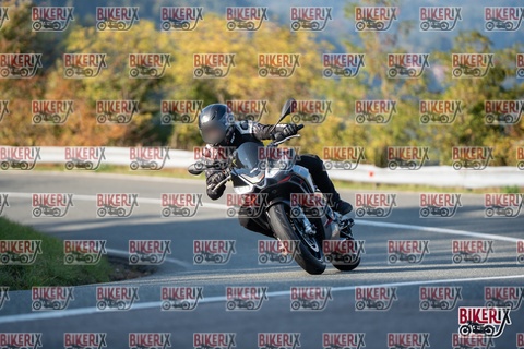 Passo della Futa E 11-10-25 h16-16 2379