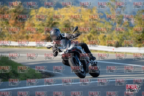 Passo della Futa E 11-10-25 h16-16 2380