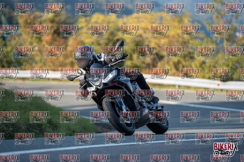 Passo della Futa E 11-10-25 h16-16 2381