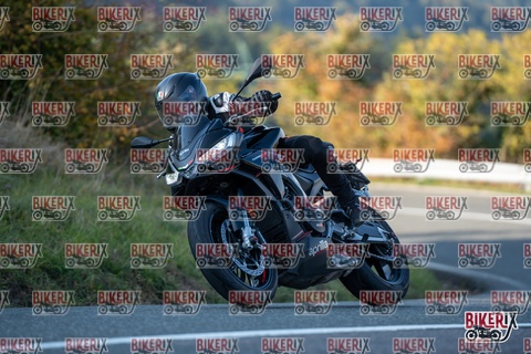 Passo della Futa E 11-10-25 h16-16 2383