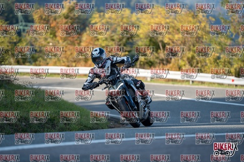 Passo della Futa E 11-10-25 h16-20 2386